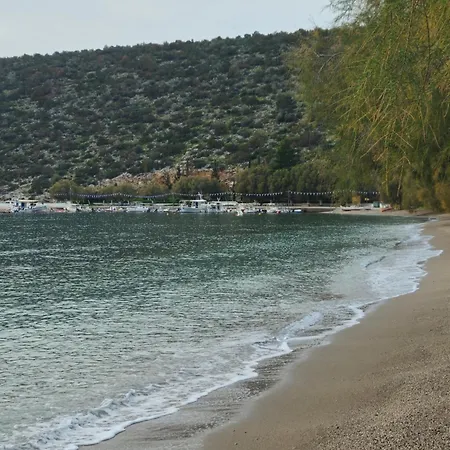 Pelekanos * Paralia (Voiotia)